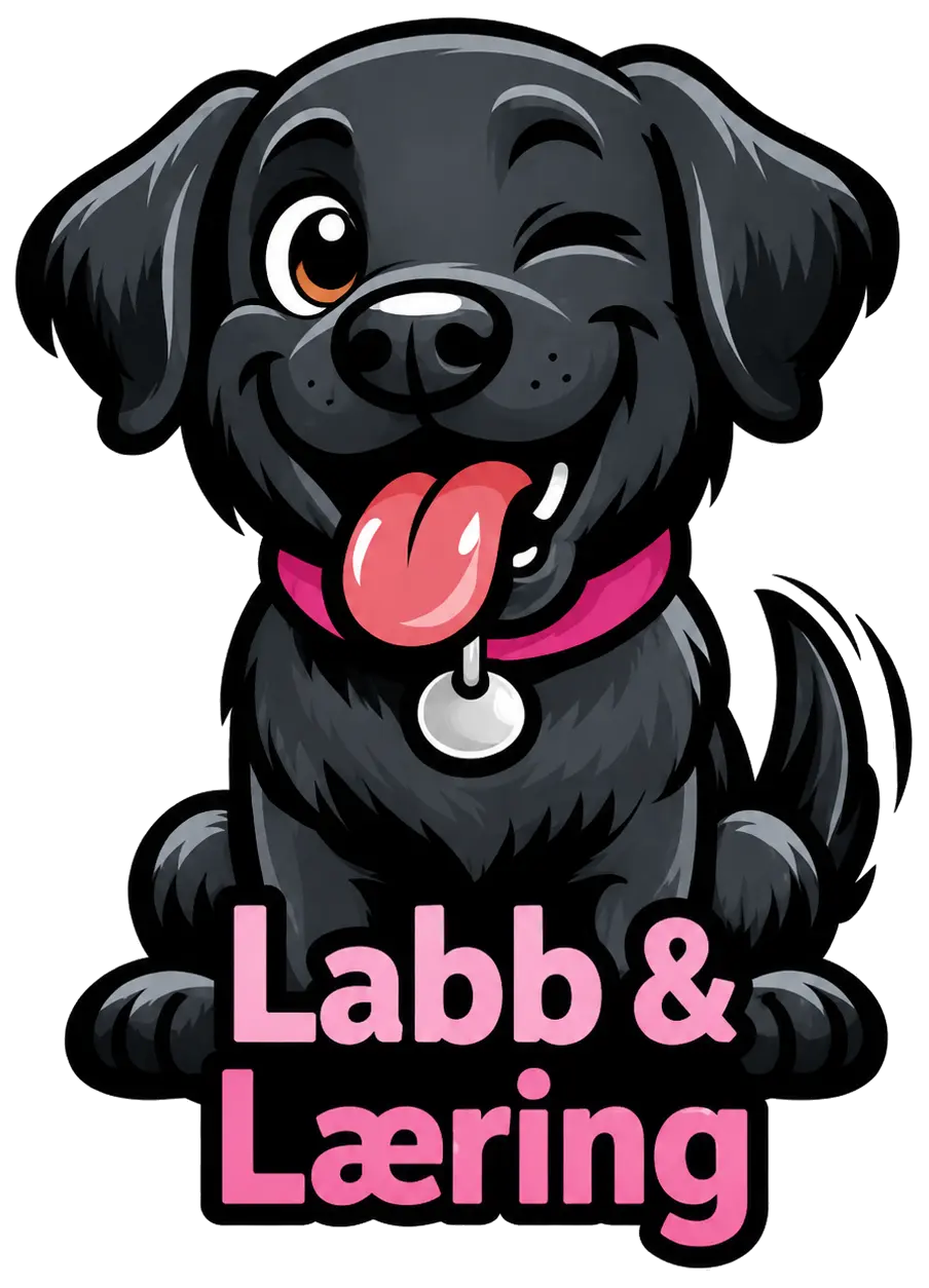 Labb & Læring