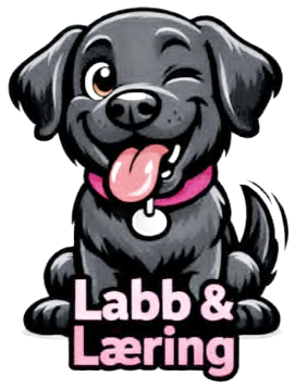 Labb & Læring